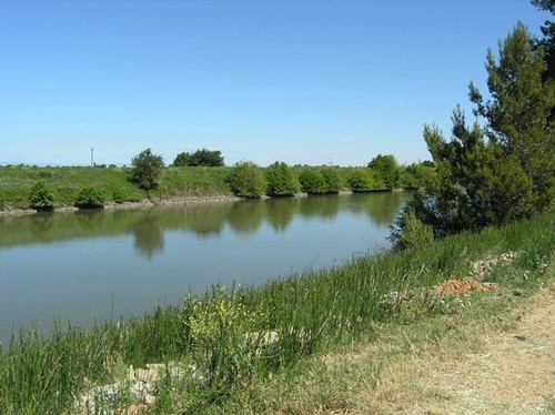 13545 Grand Island Rd, Walnut Grove, CA 95690, USA